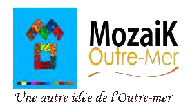 logo de Mozaïk Outre-Mer